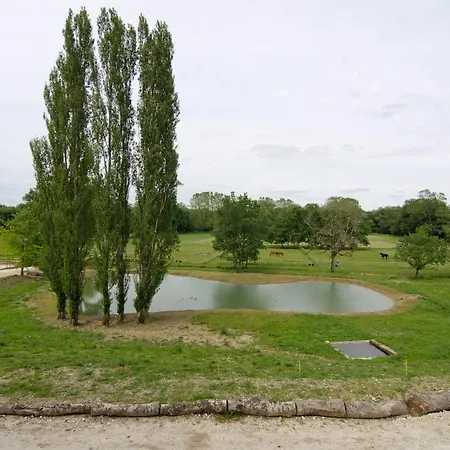 Chateau Beau-site *