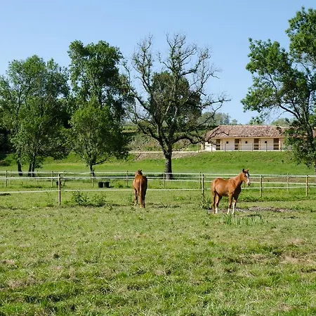 Chateau Beau-site